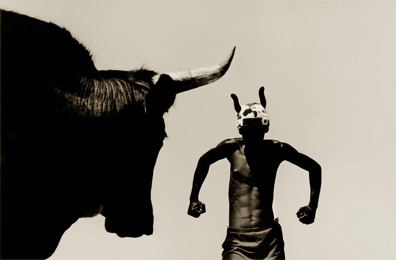 Bull