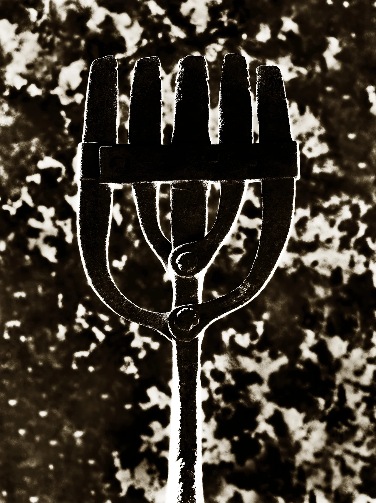 Eel Spear
