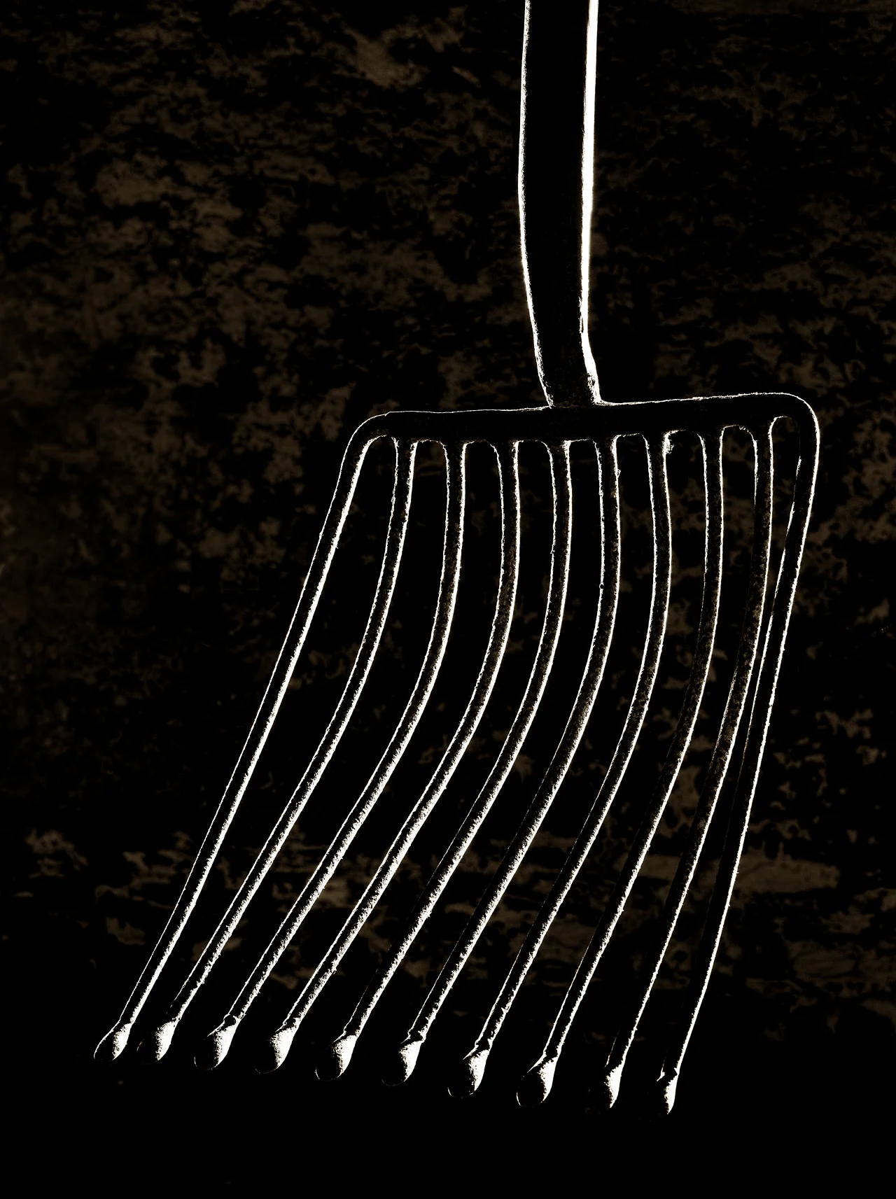 Potato Fork