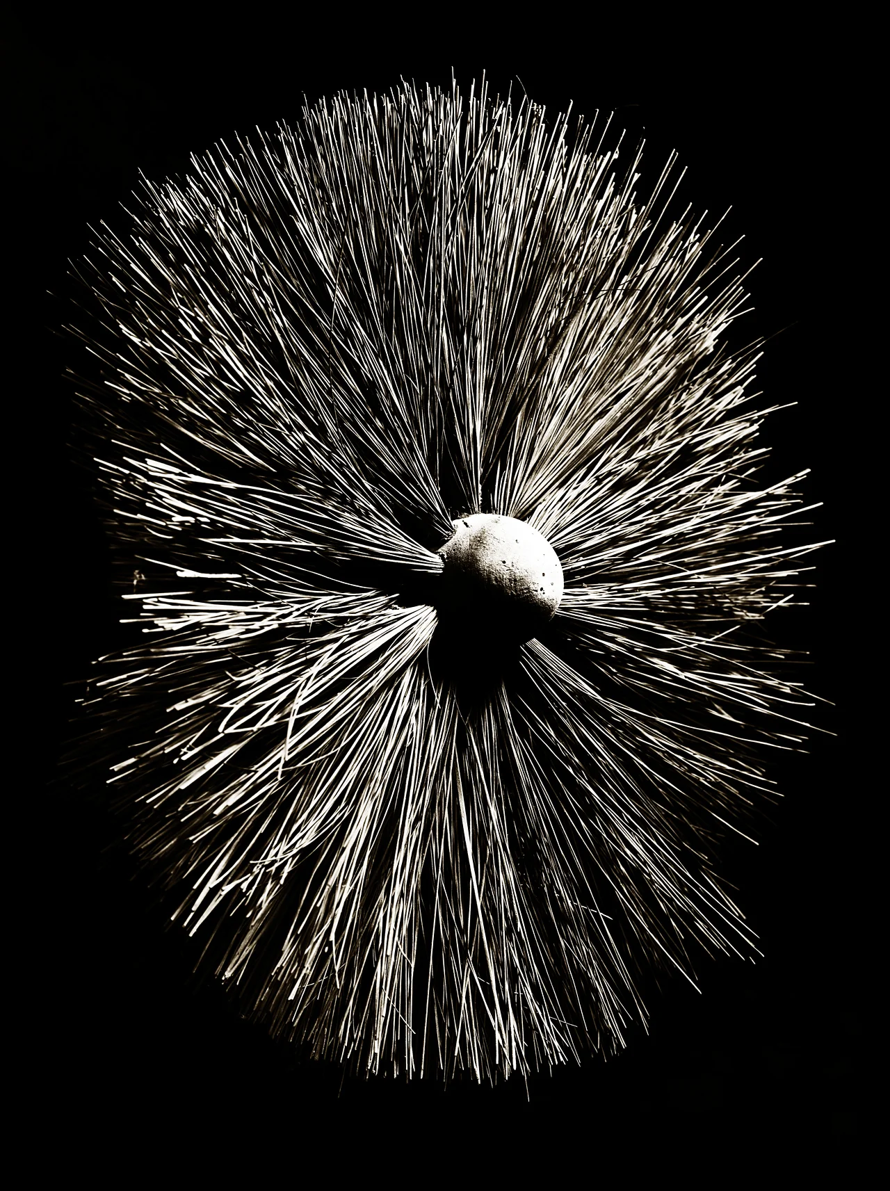 Sweep's Brush