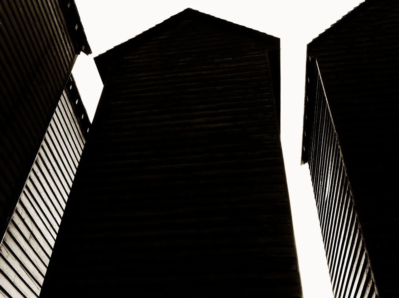 Net Shops