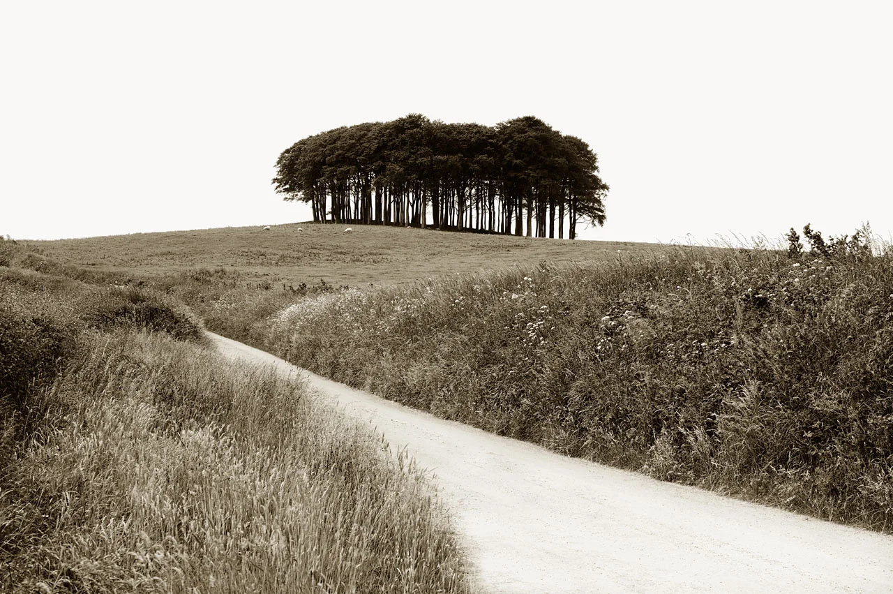 Cookworthy Knapp