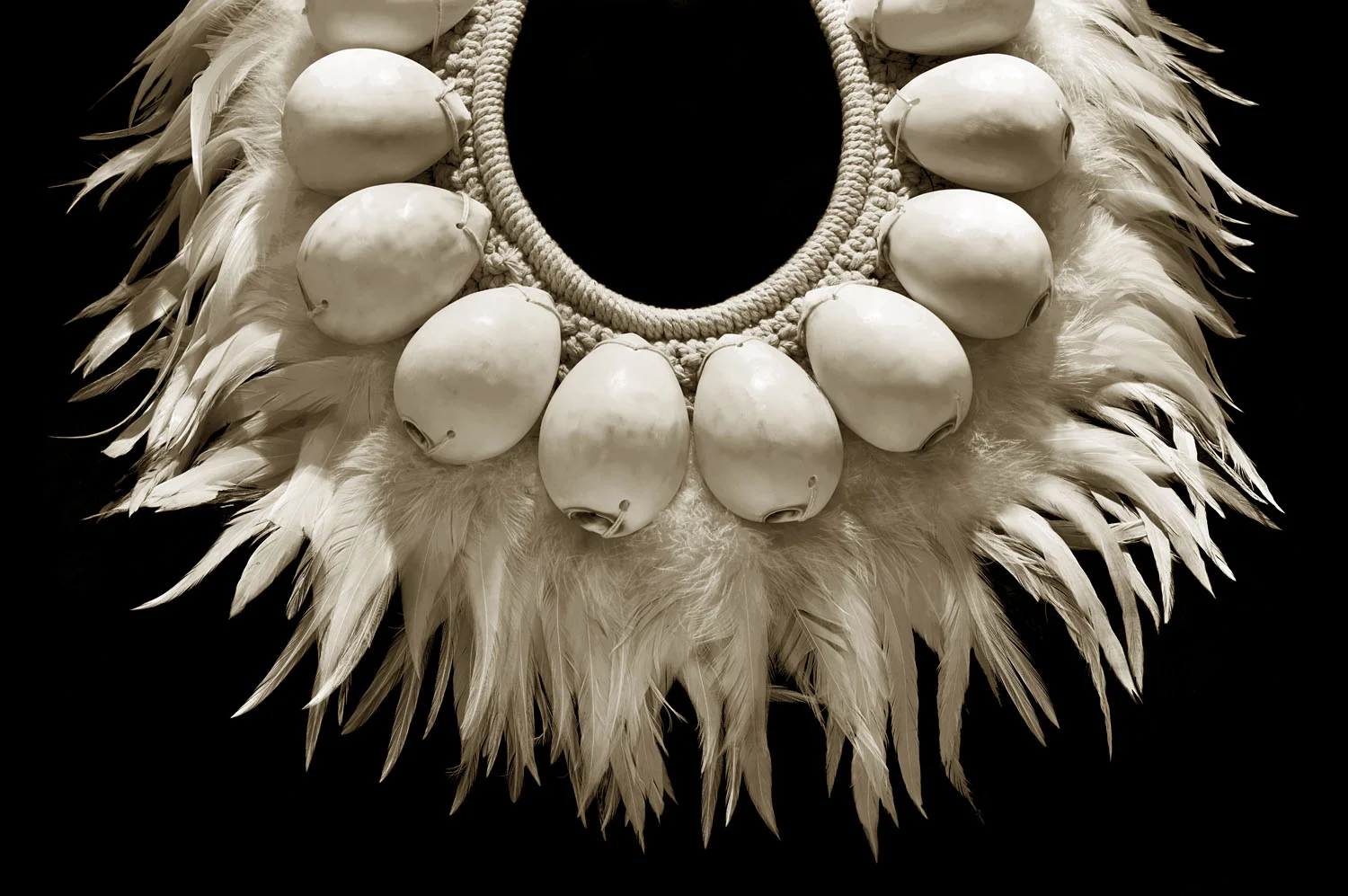 Cowrie and Feather