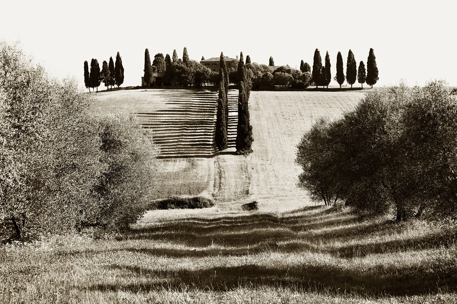 San Quirico d'Orcia