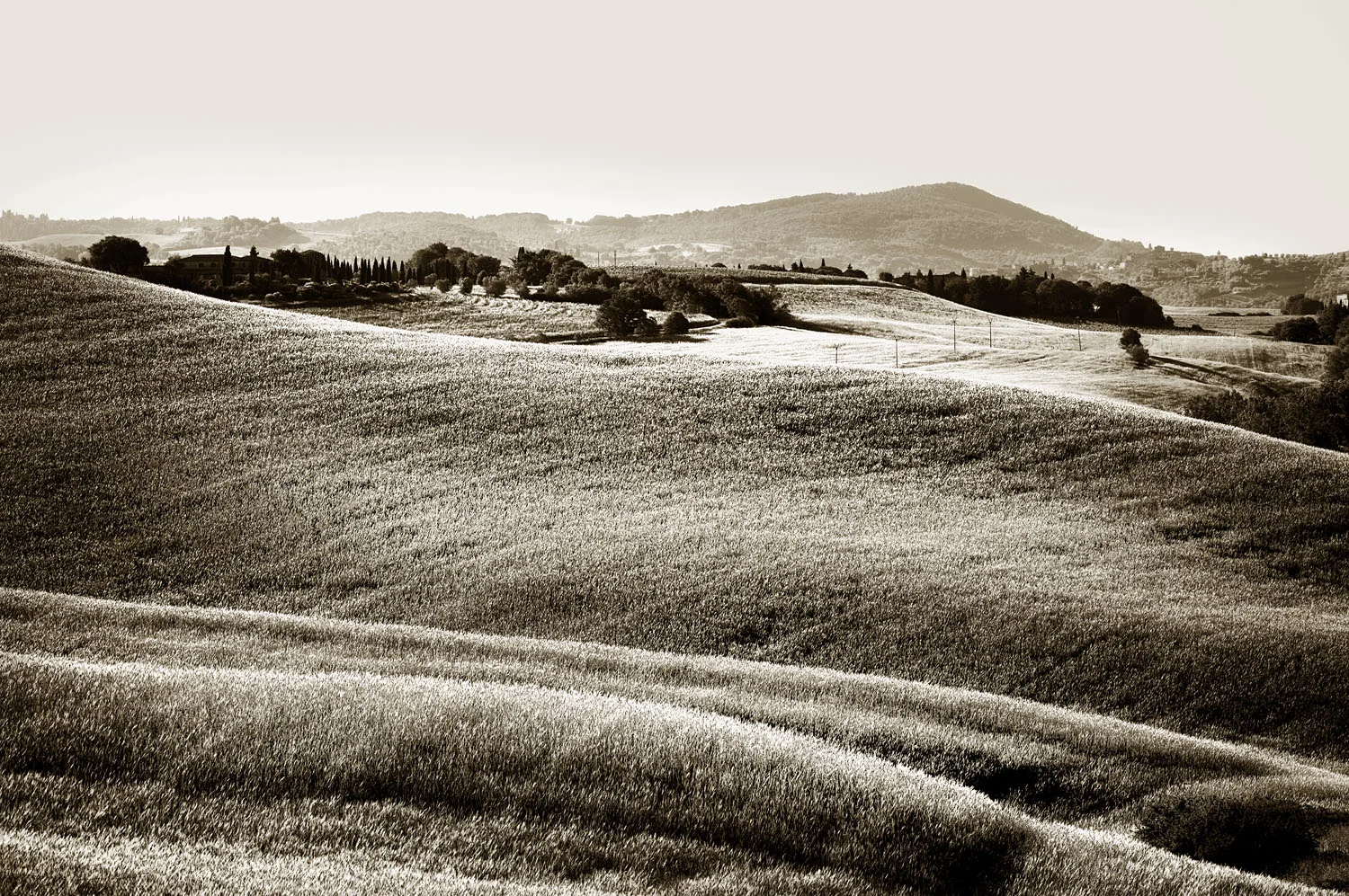 Asciano