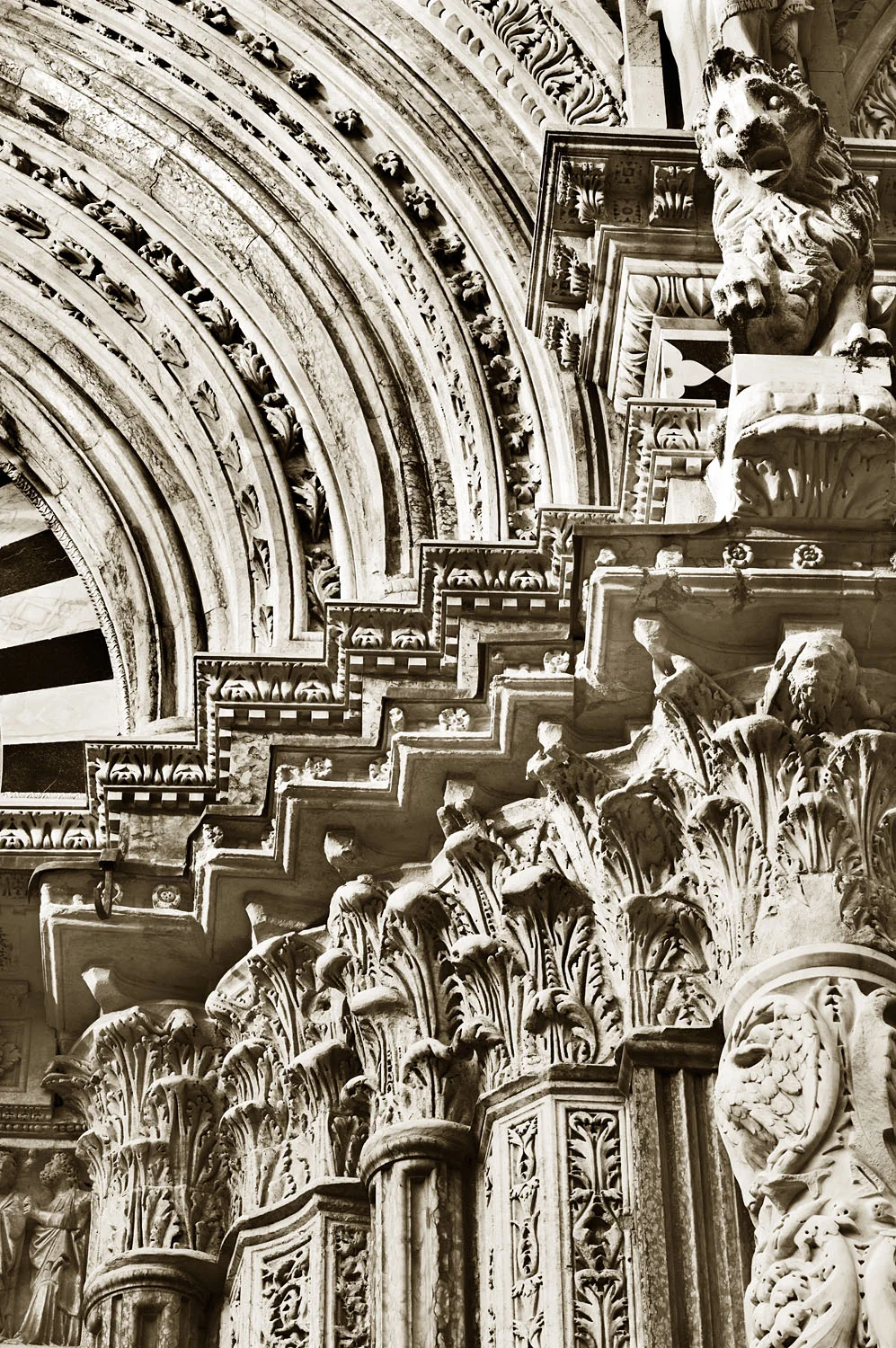 Duomo di Siena 6