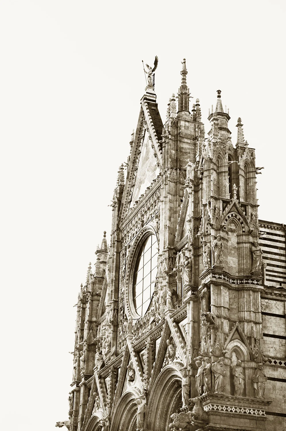 Duomo di Siena 1