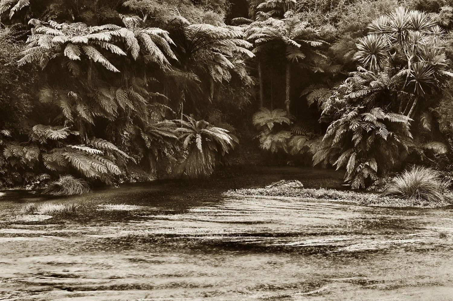 Putaruru