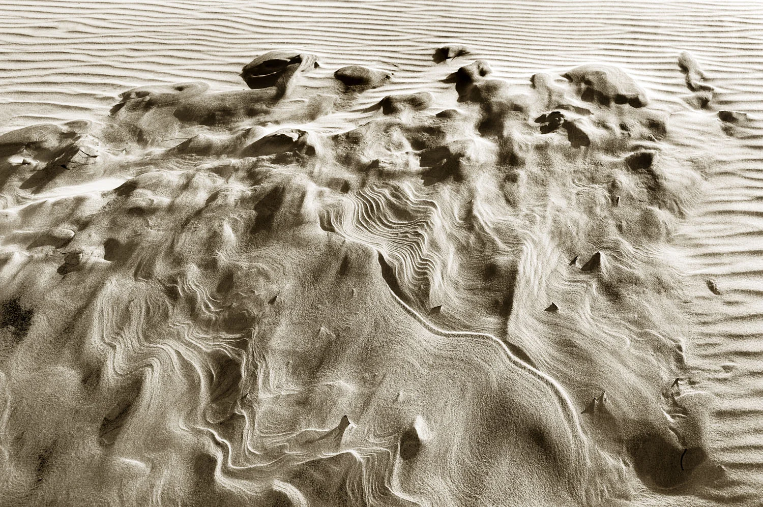Wharariki 5