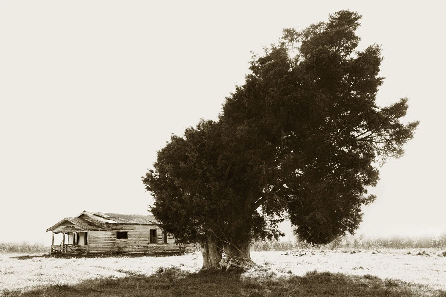 Uruwhenua