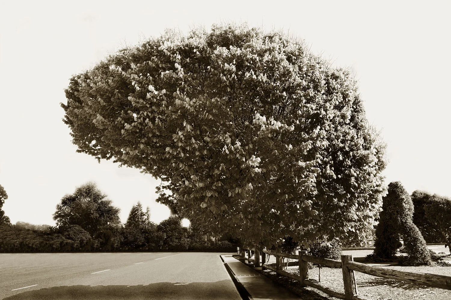 Motueka