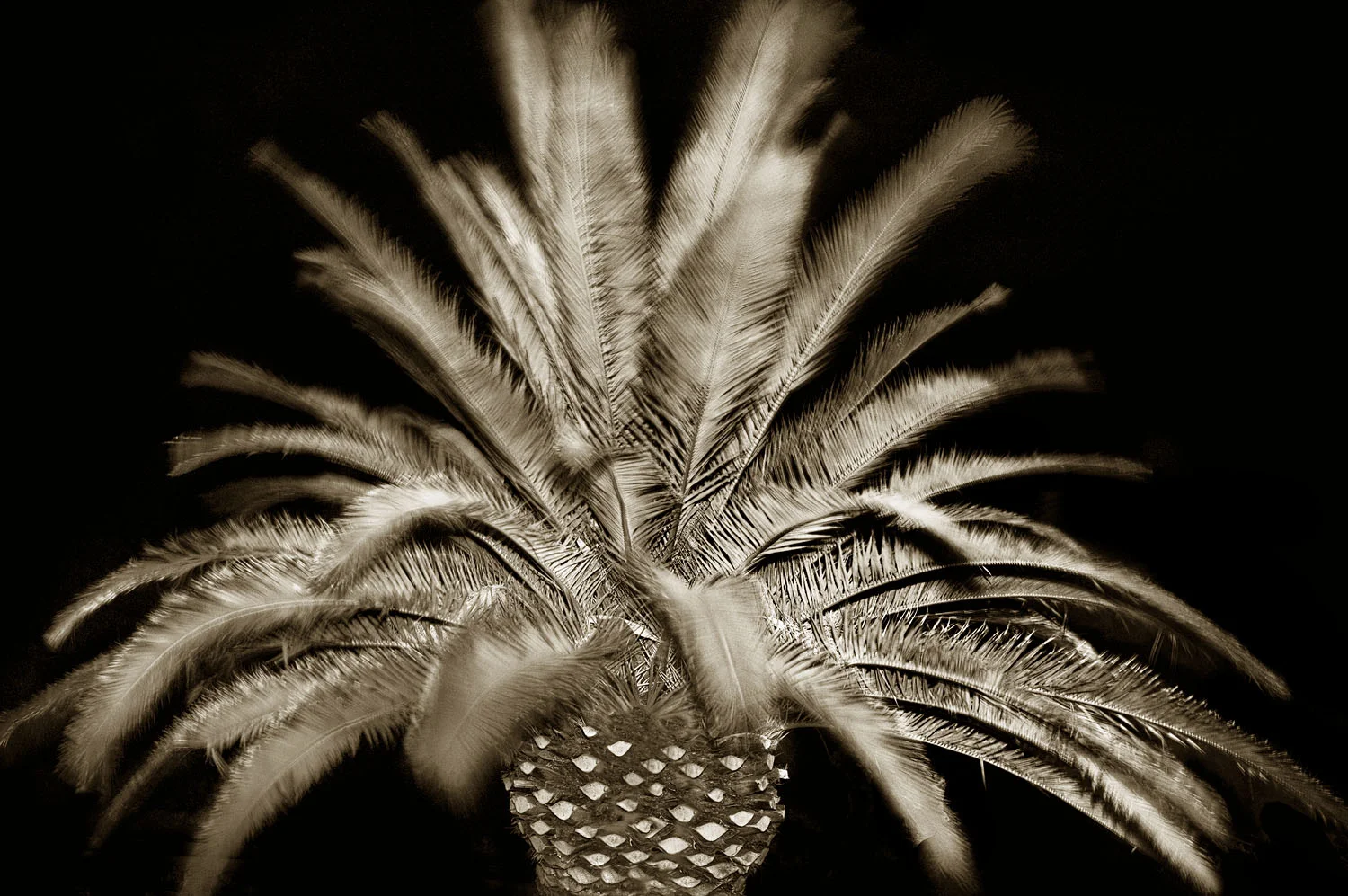 L1000805 3.jpg