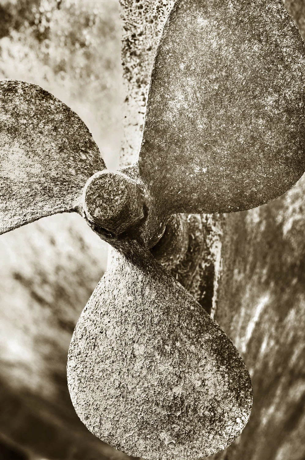L1001055 3.jpg