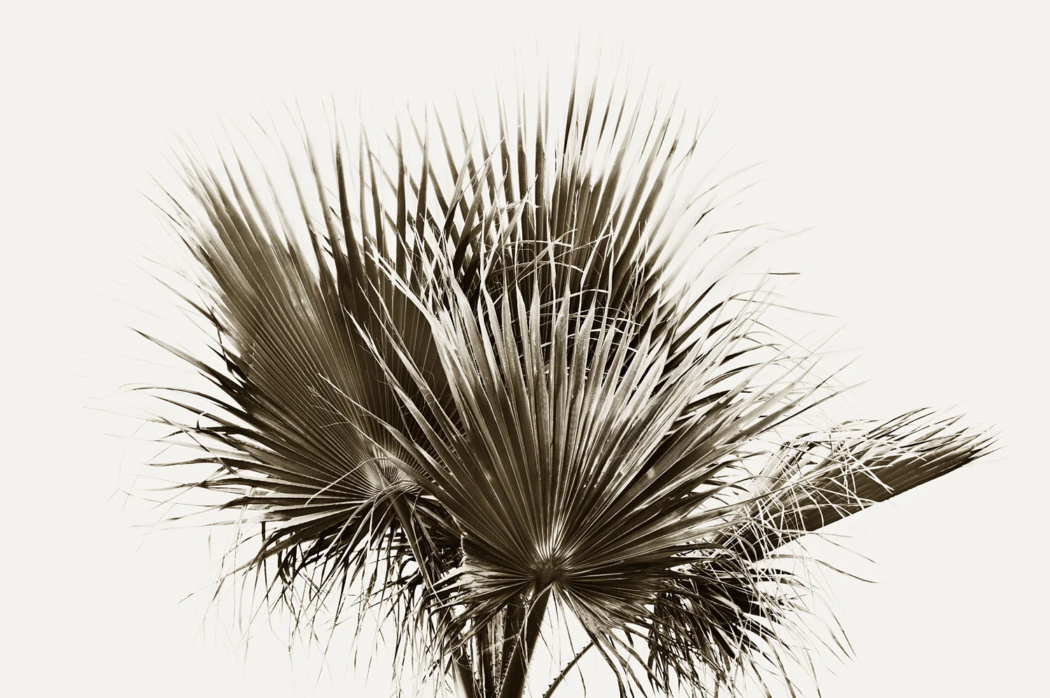 L1001358 2.jpg