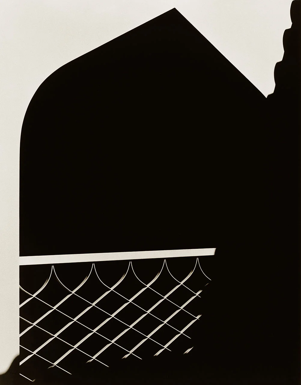 Mesh.jpg