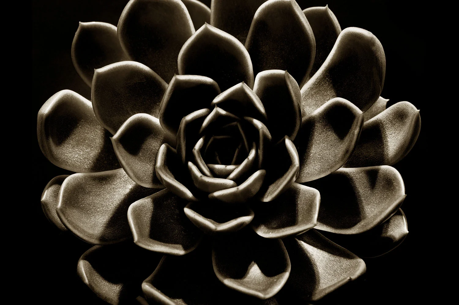 L1005406.jpg