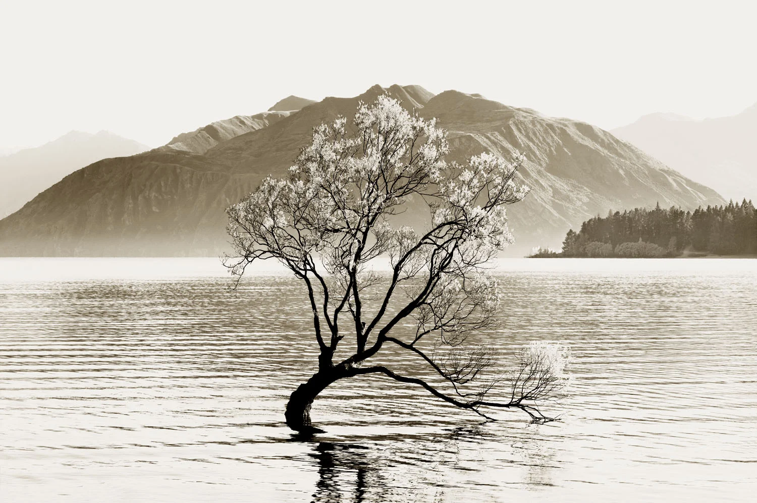 Wanaka