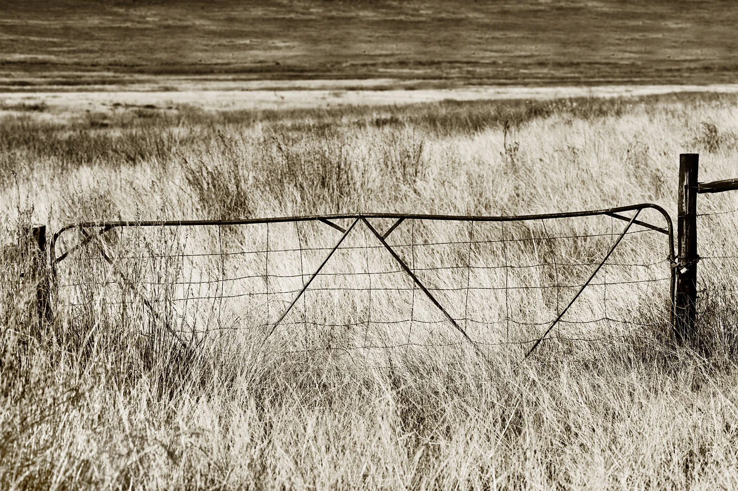 L1007286.jpg