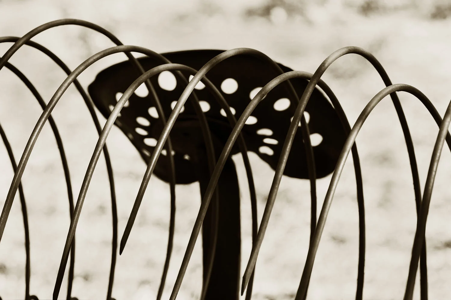 L1008243.jpg