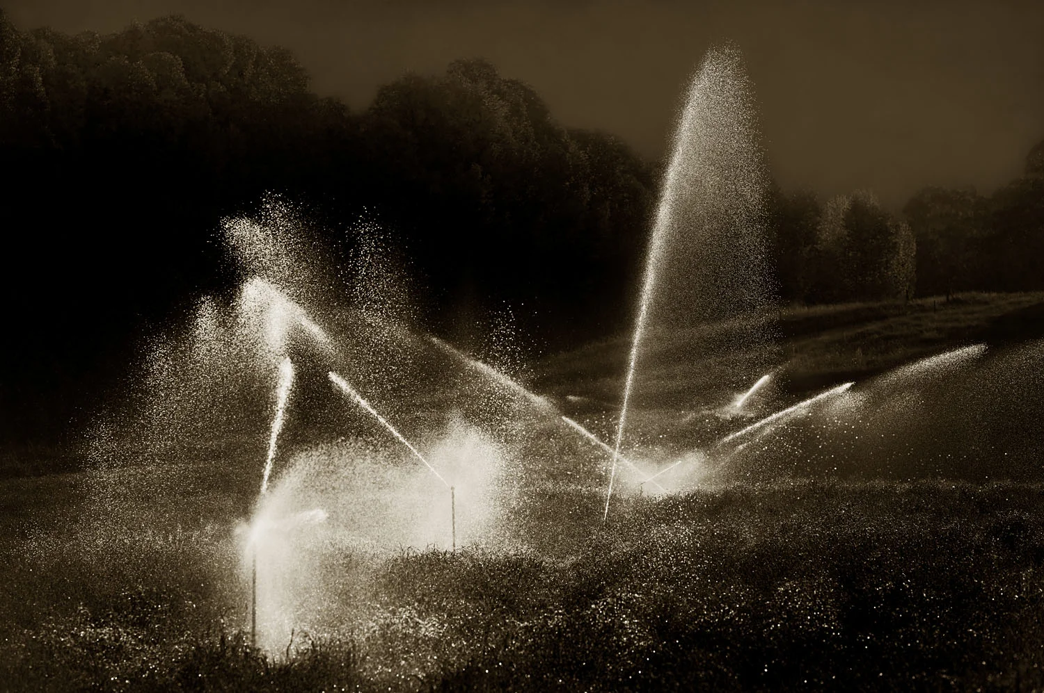 Cryil's Sprinklers