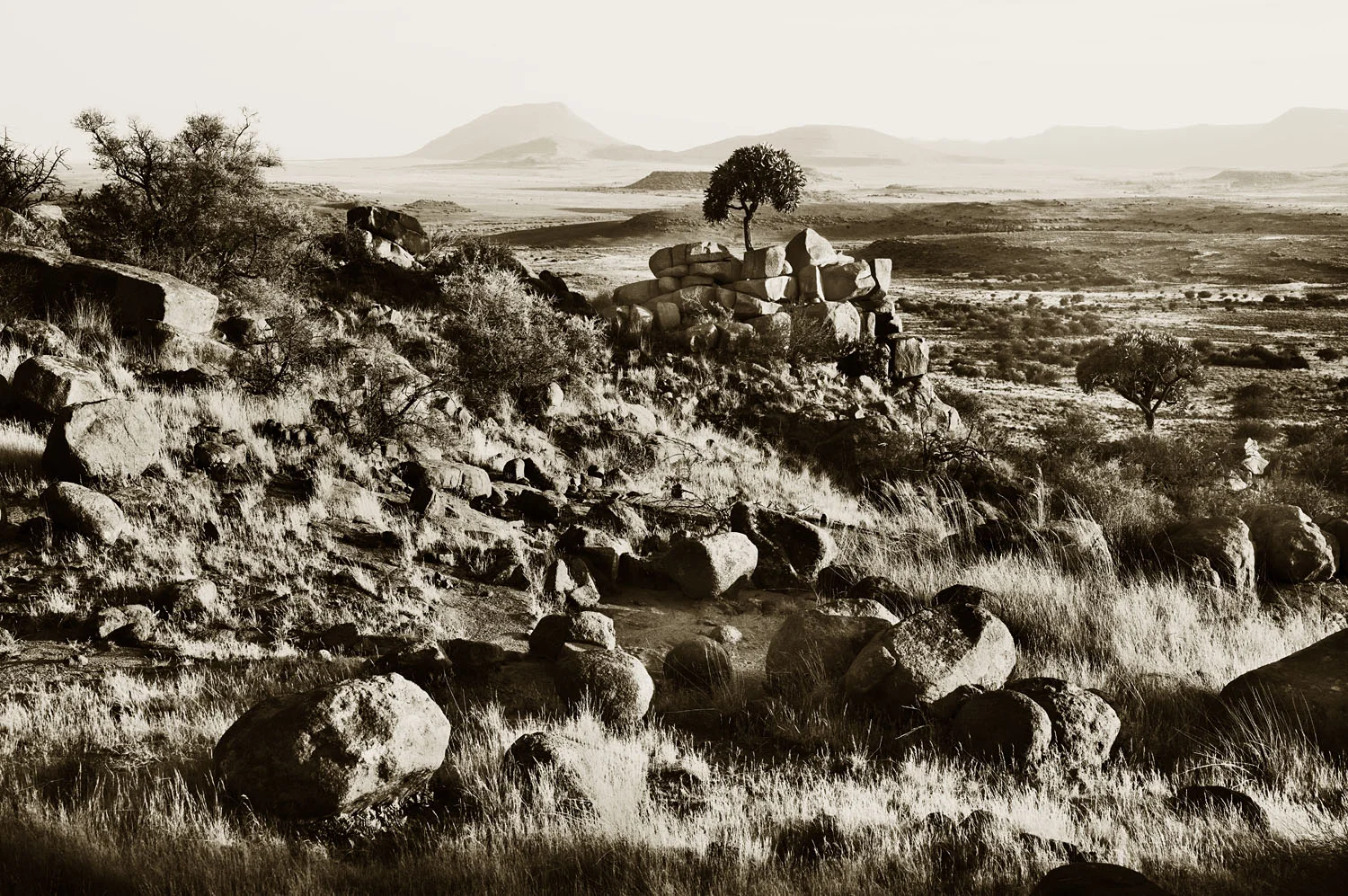 Karoo Ridge