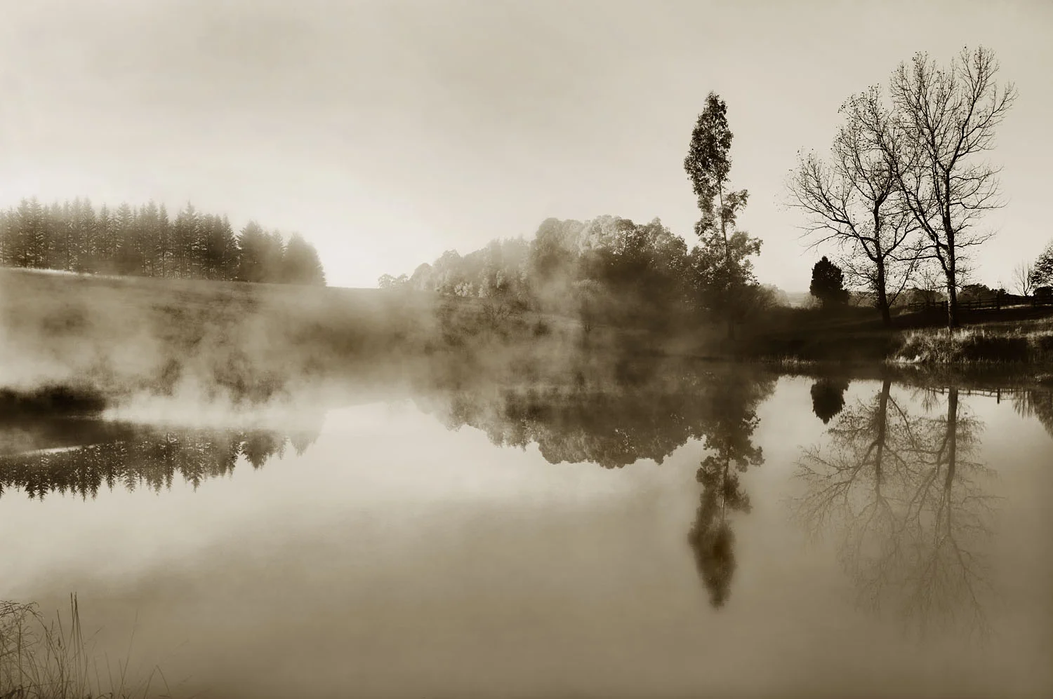 On Reflection......