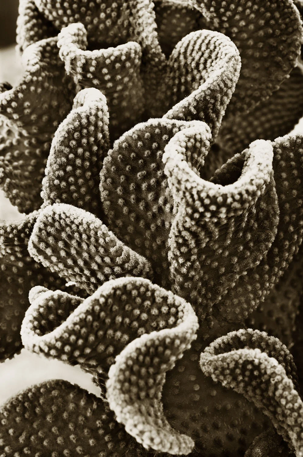 L1000921.jpg