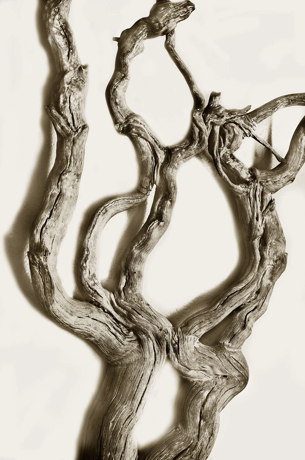 L1001346.jpg