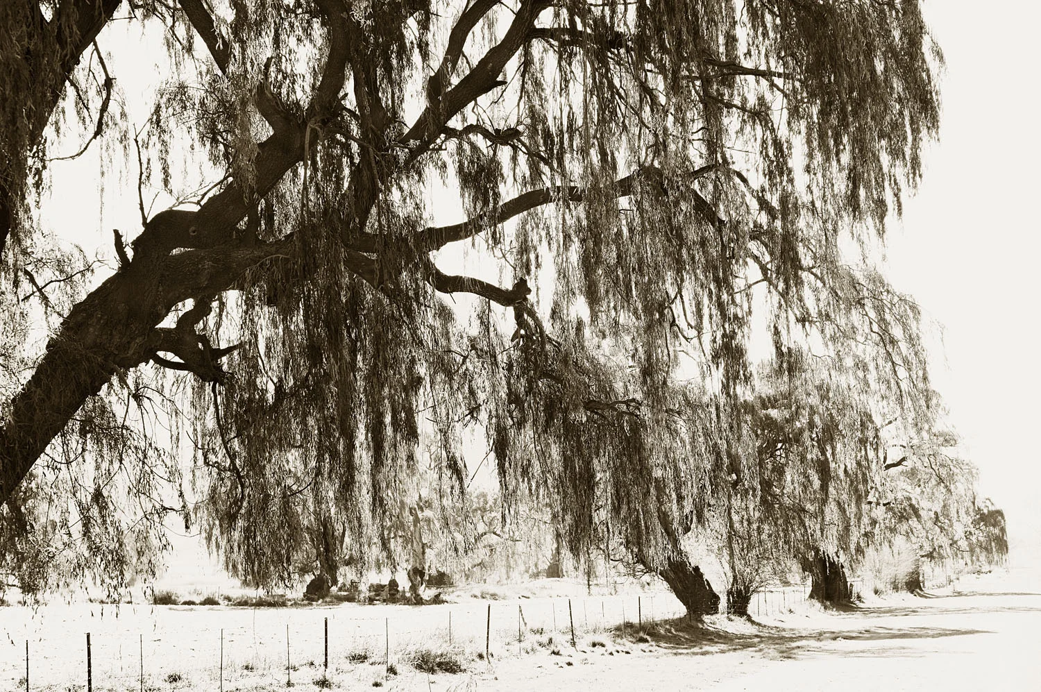 L1008054.jpg