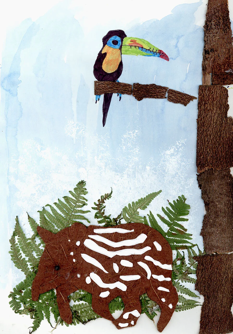 Tapir and Toucan.jpg
