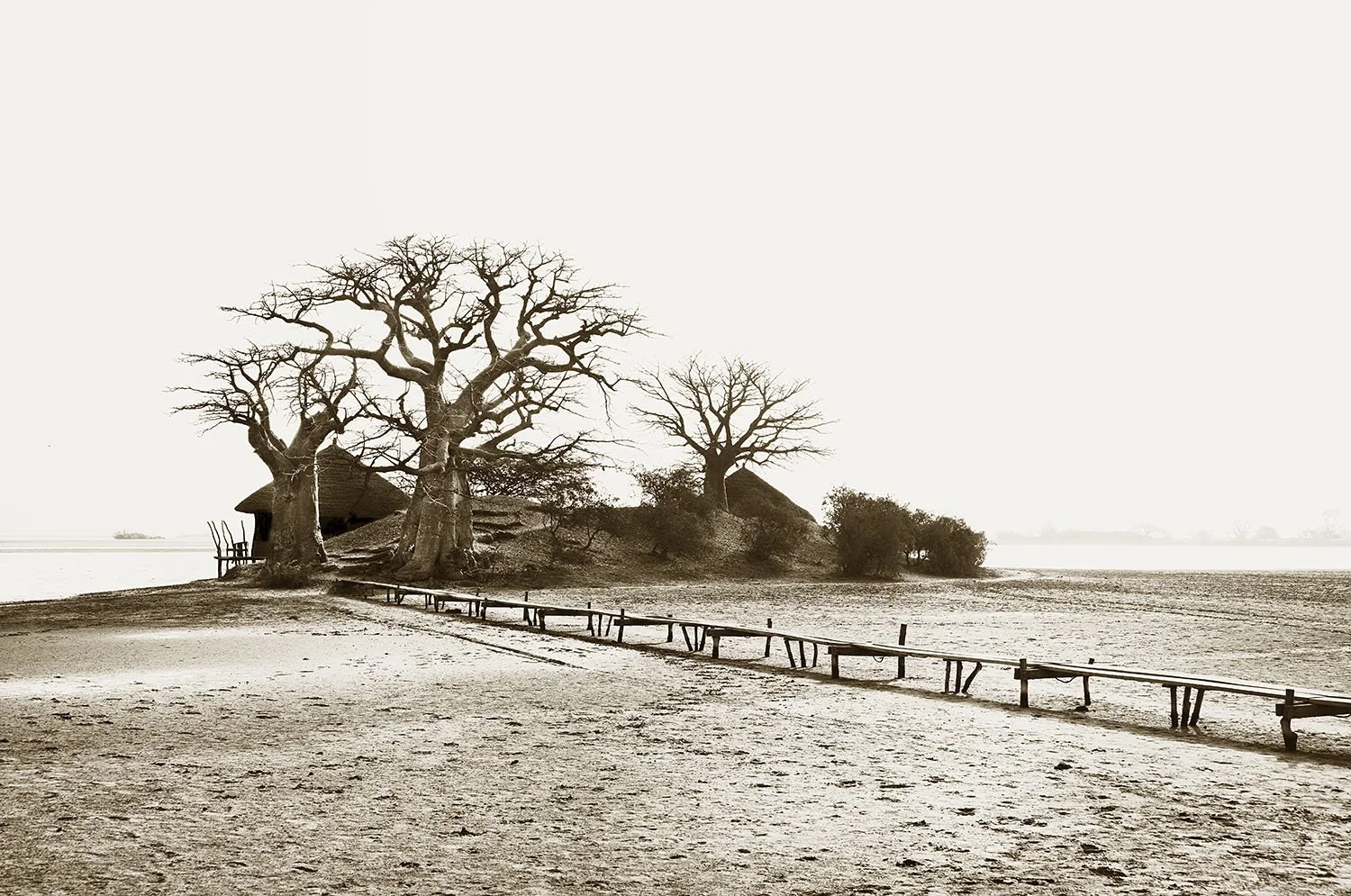 Dry Season