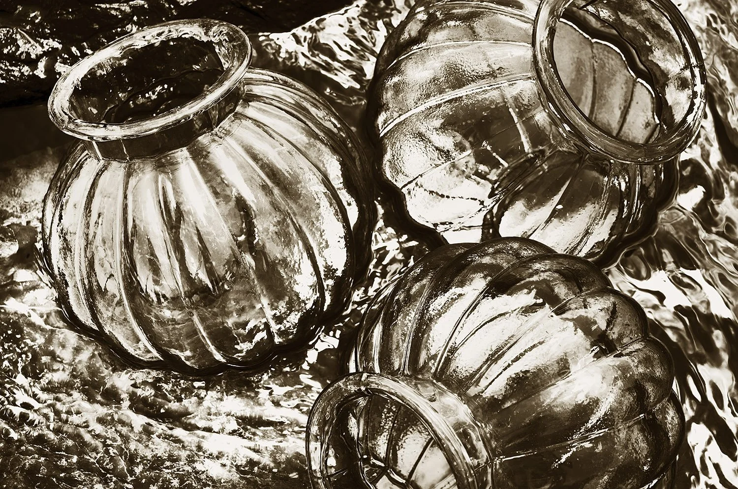 L1001496 5.jpg