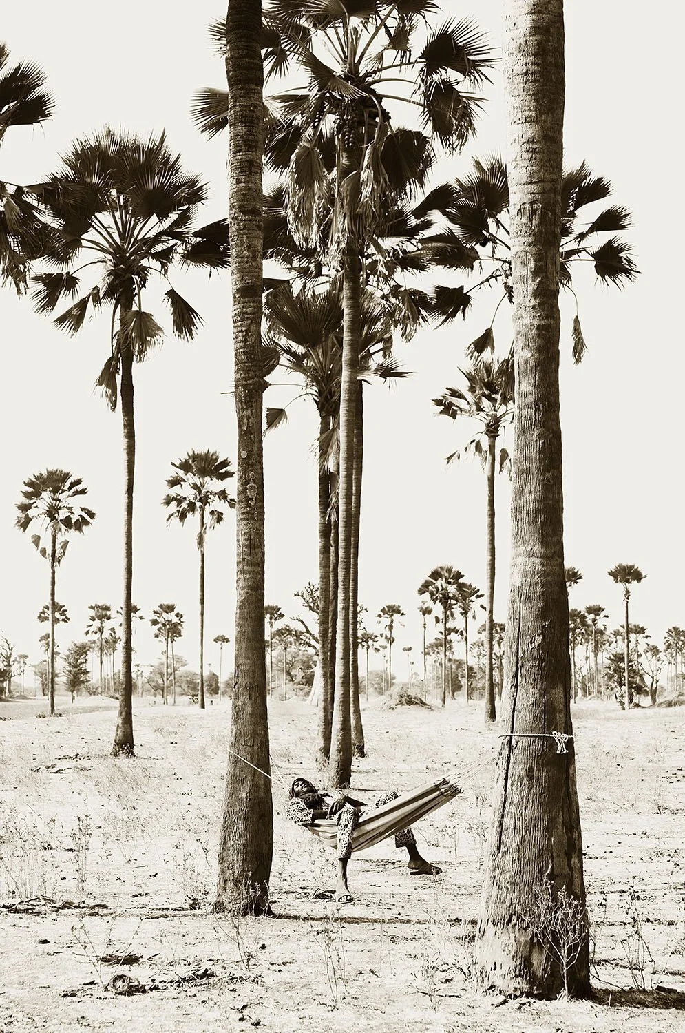 Hammock