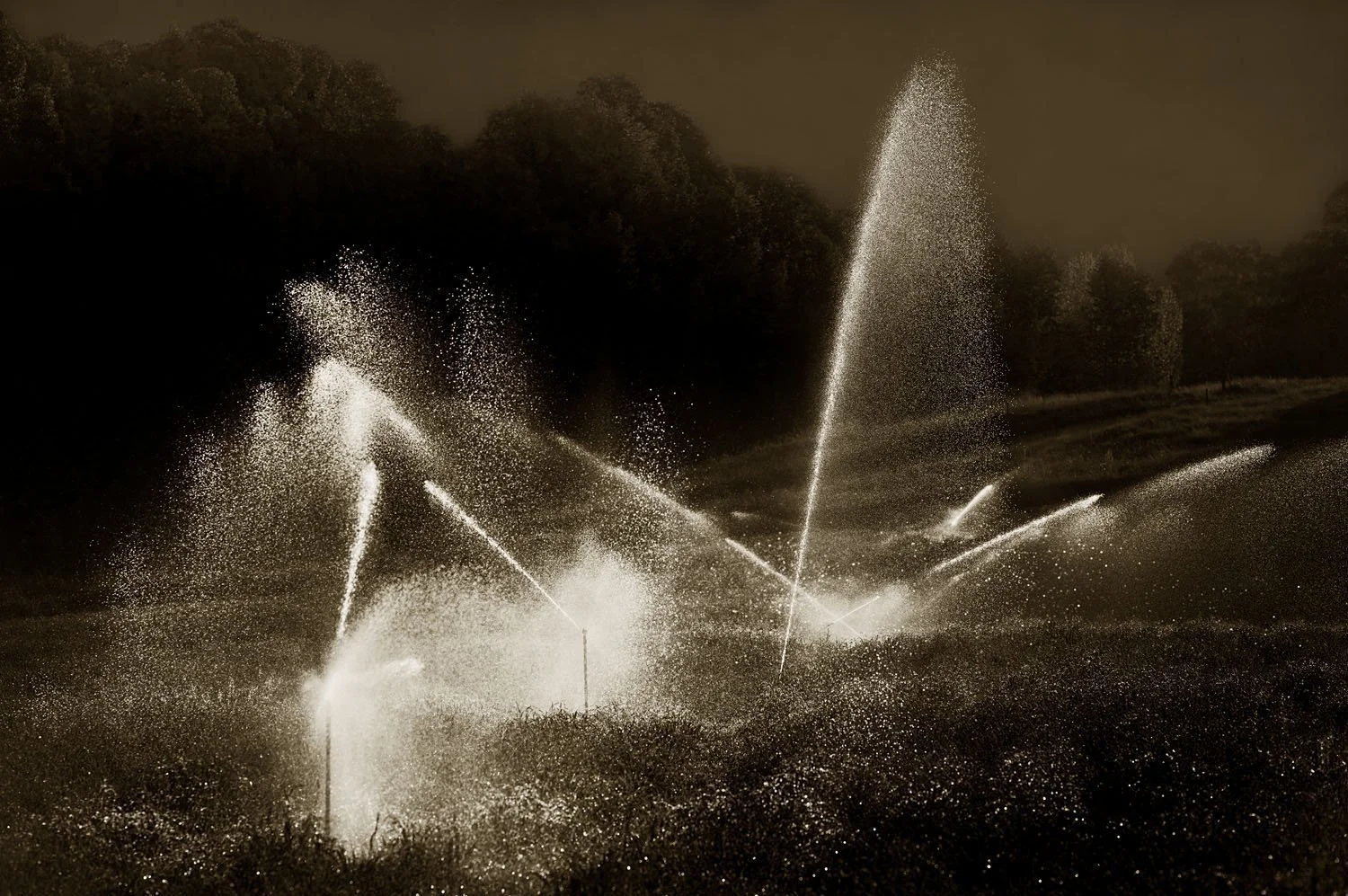 Cryil's Sprinklers