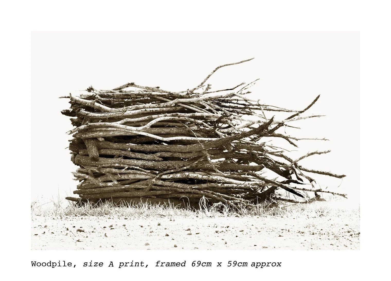Woodpile.jpg
