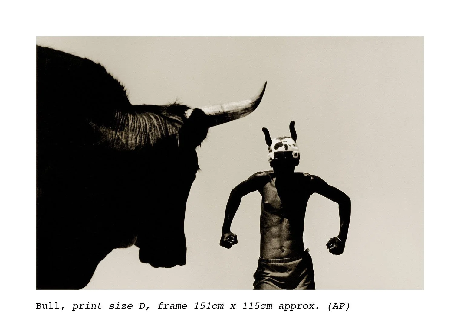 Bull+2.jpg