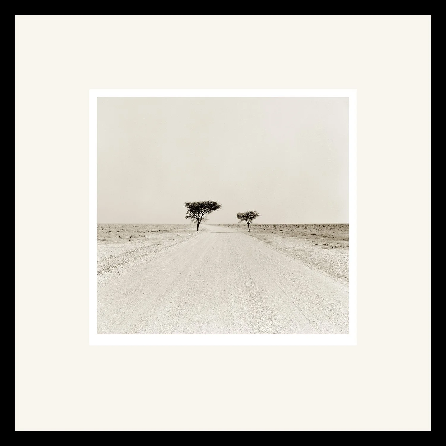 Etosha framed stretched 1500.jpg
