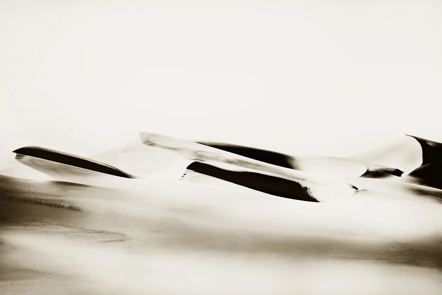 _F2A6881 2.jpg