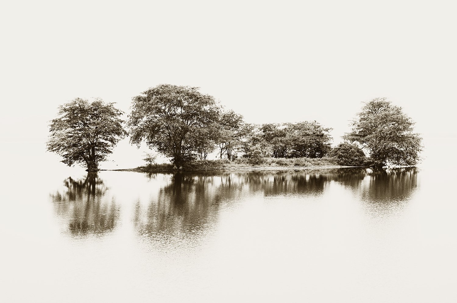 On Reflection