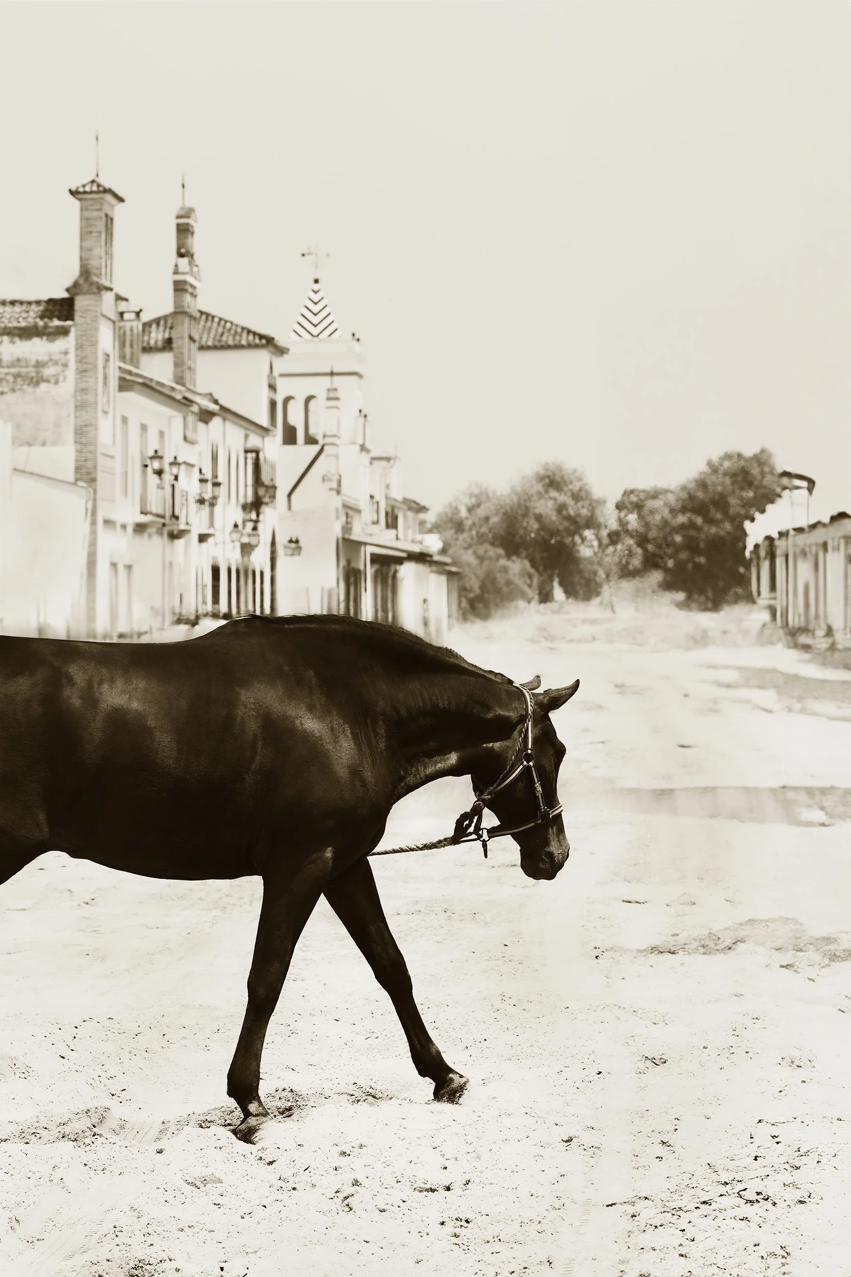 El Rocío 22