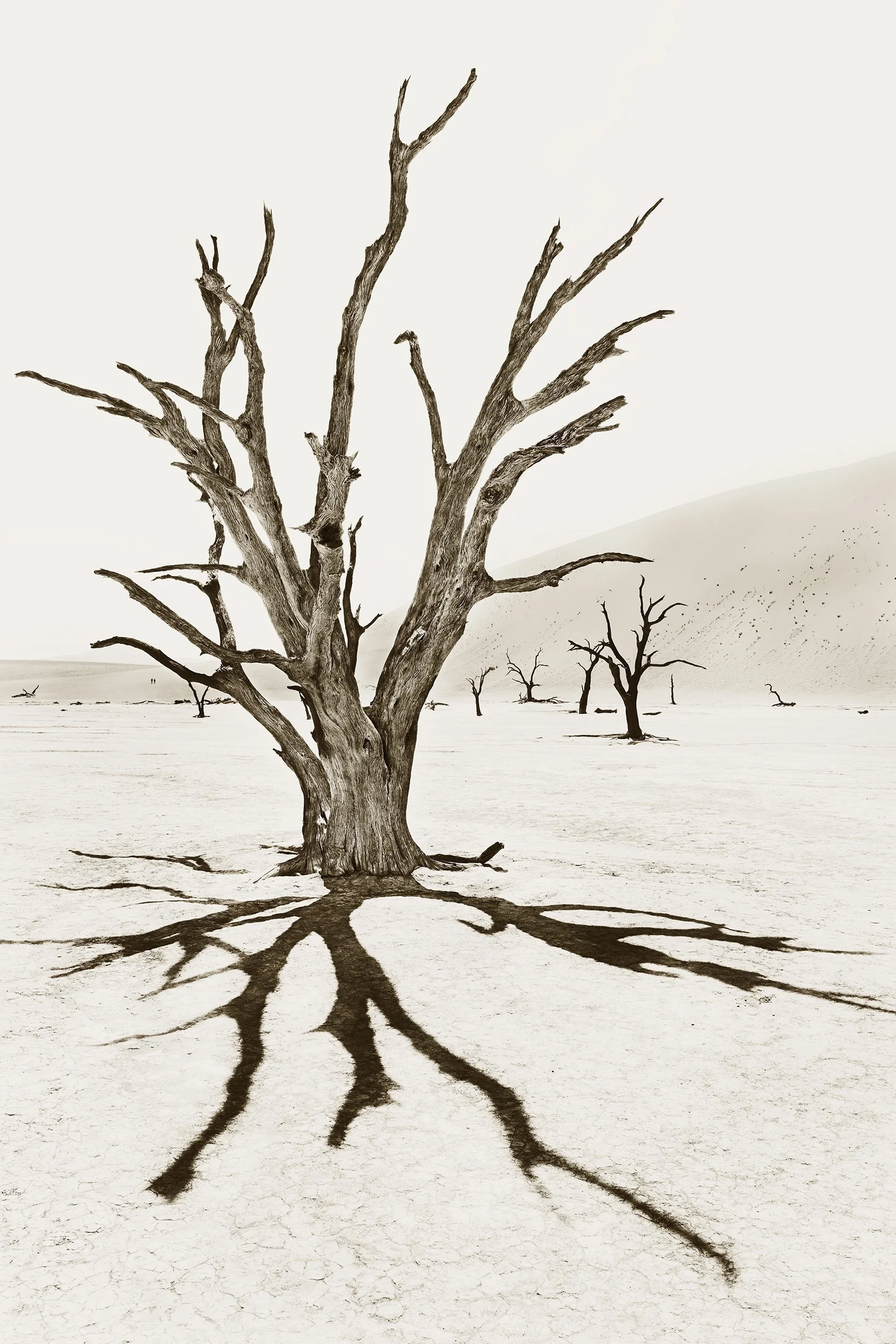 Deadvlei 3