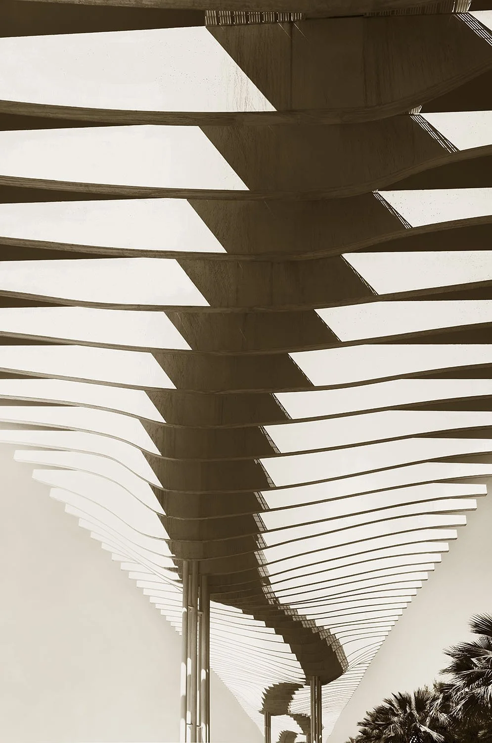 Paseo del Muelle Uno