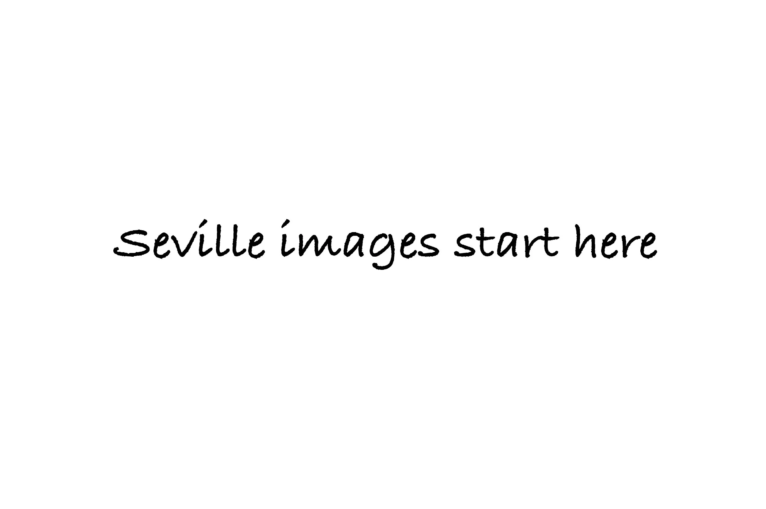 Seville start.jpg