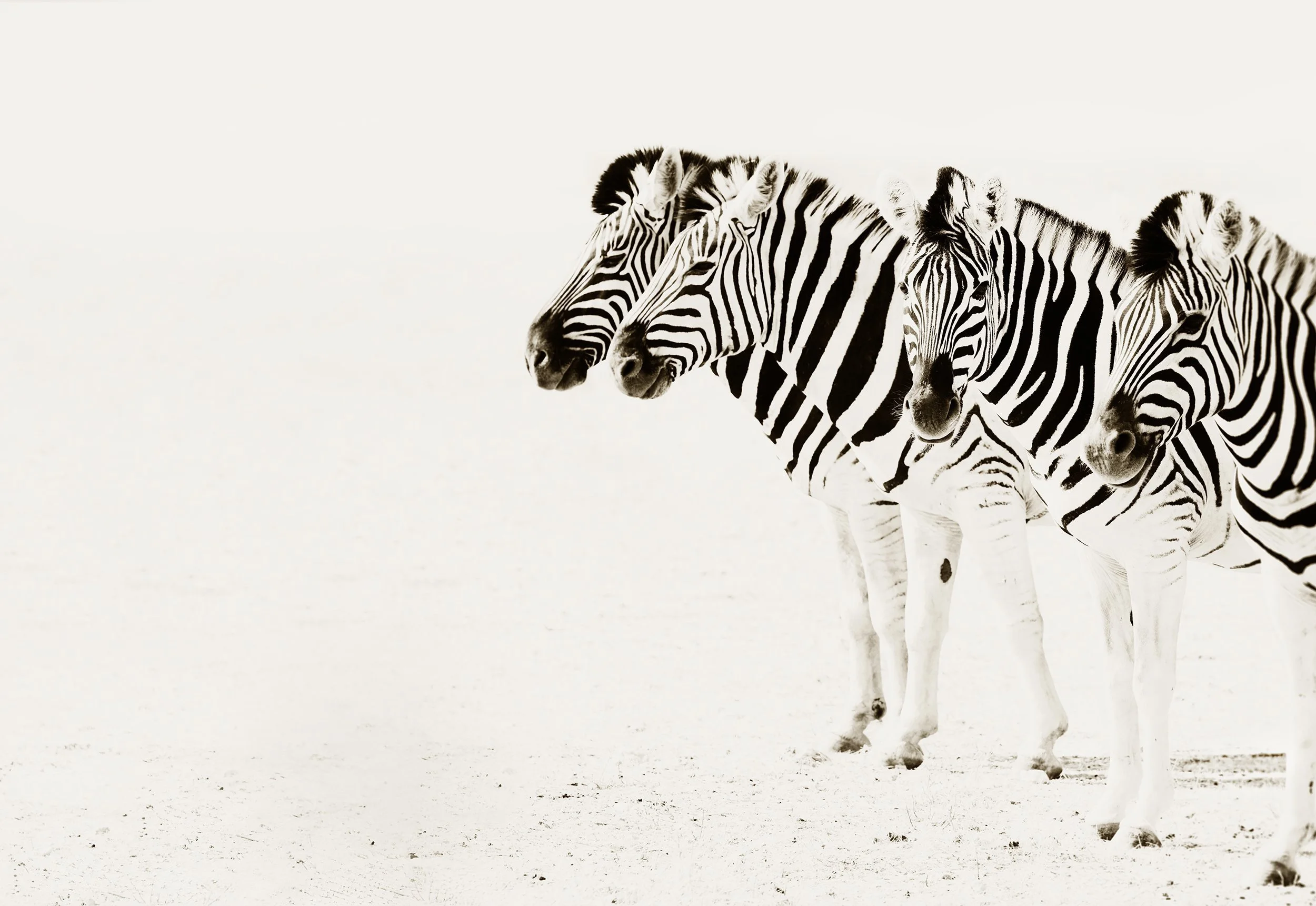 Behind The Line Please