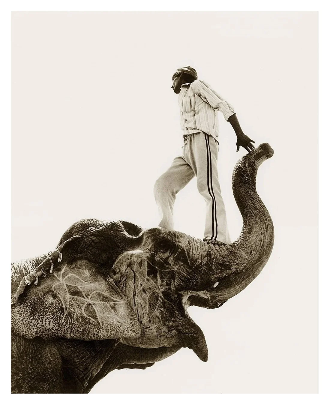 41 x 51 otis paper final.jpg