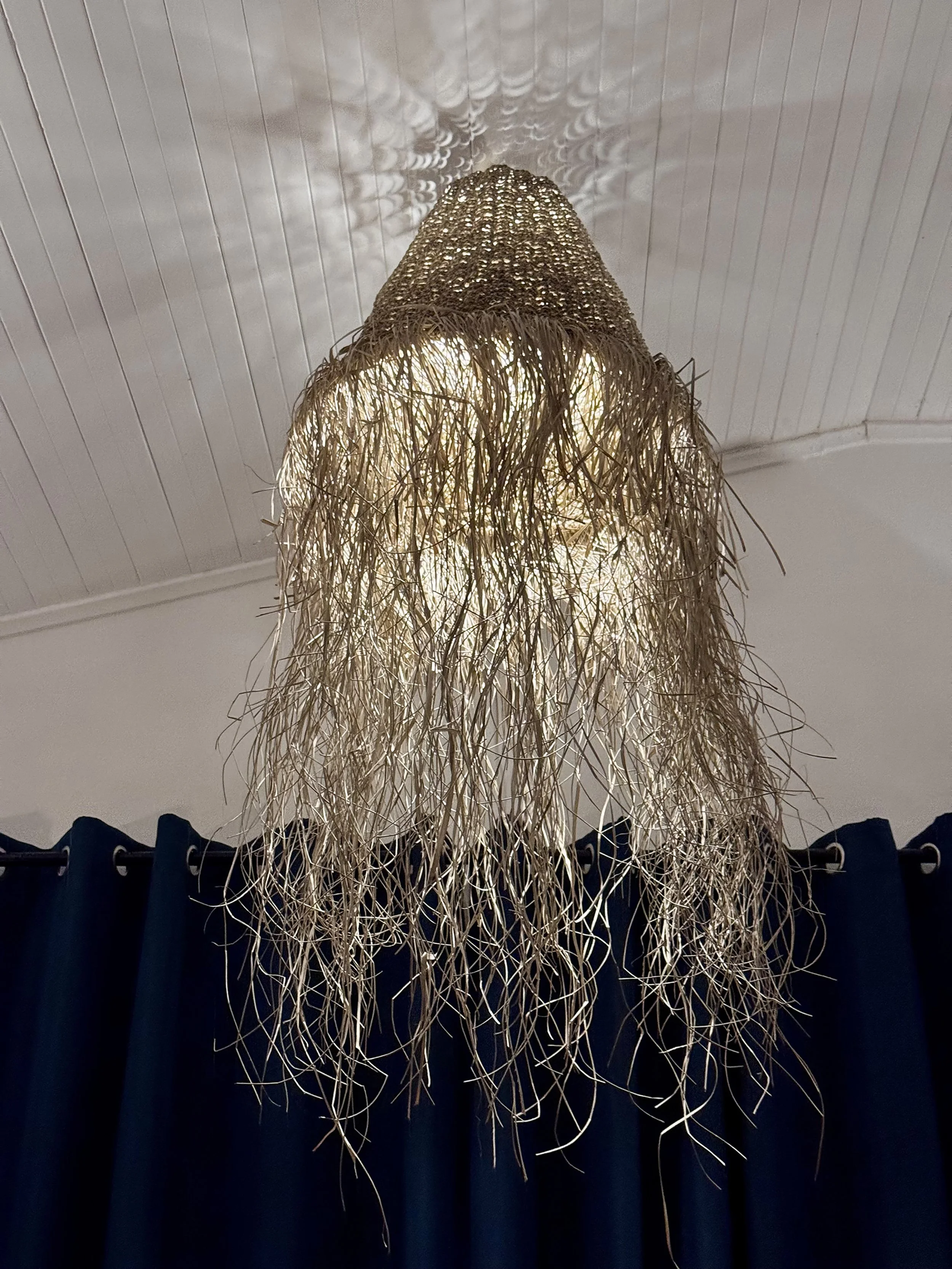 IMG_6851.jpg