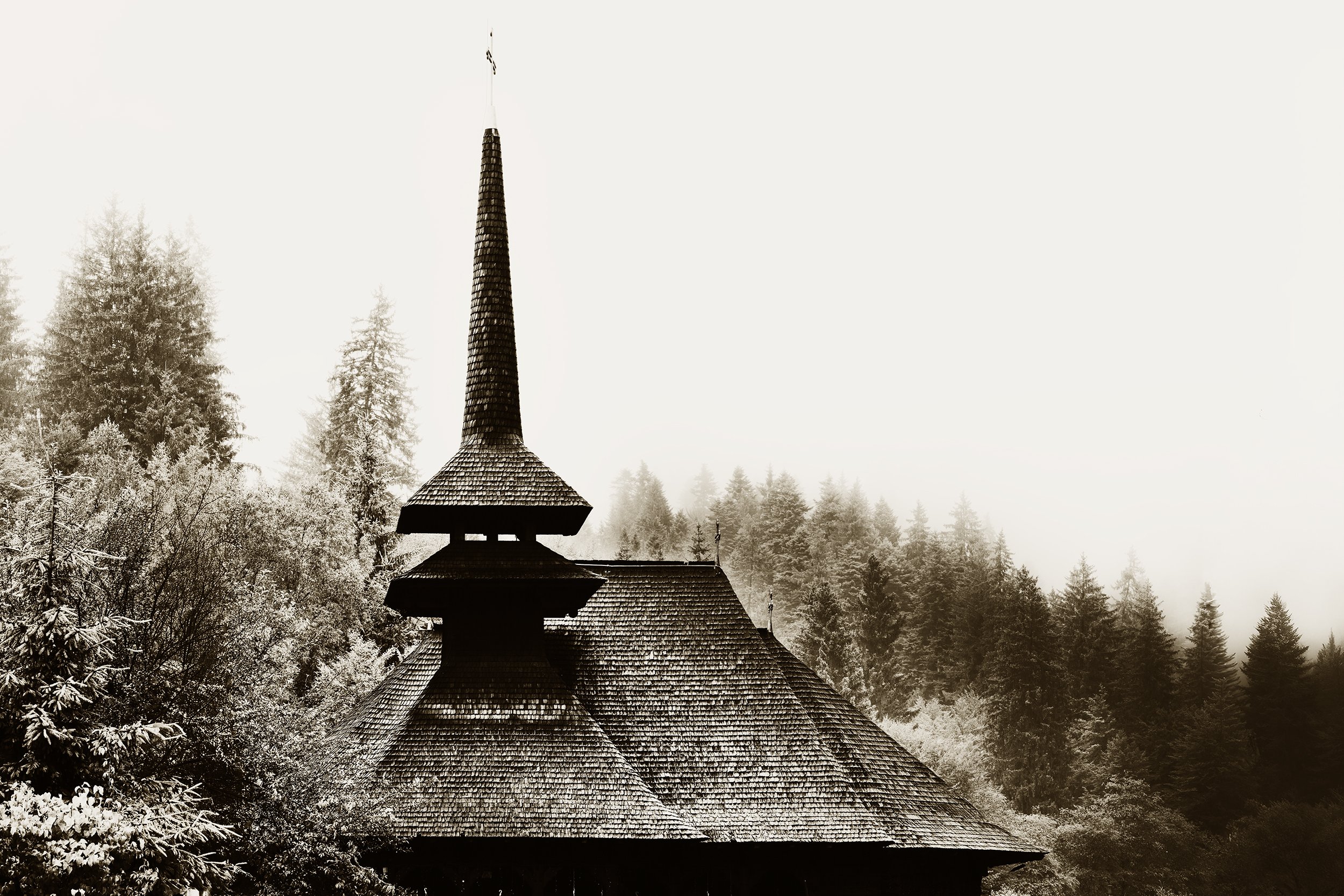_F2A5271 10.jpg