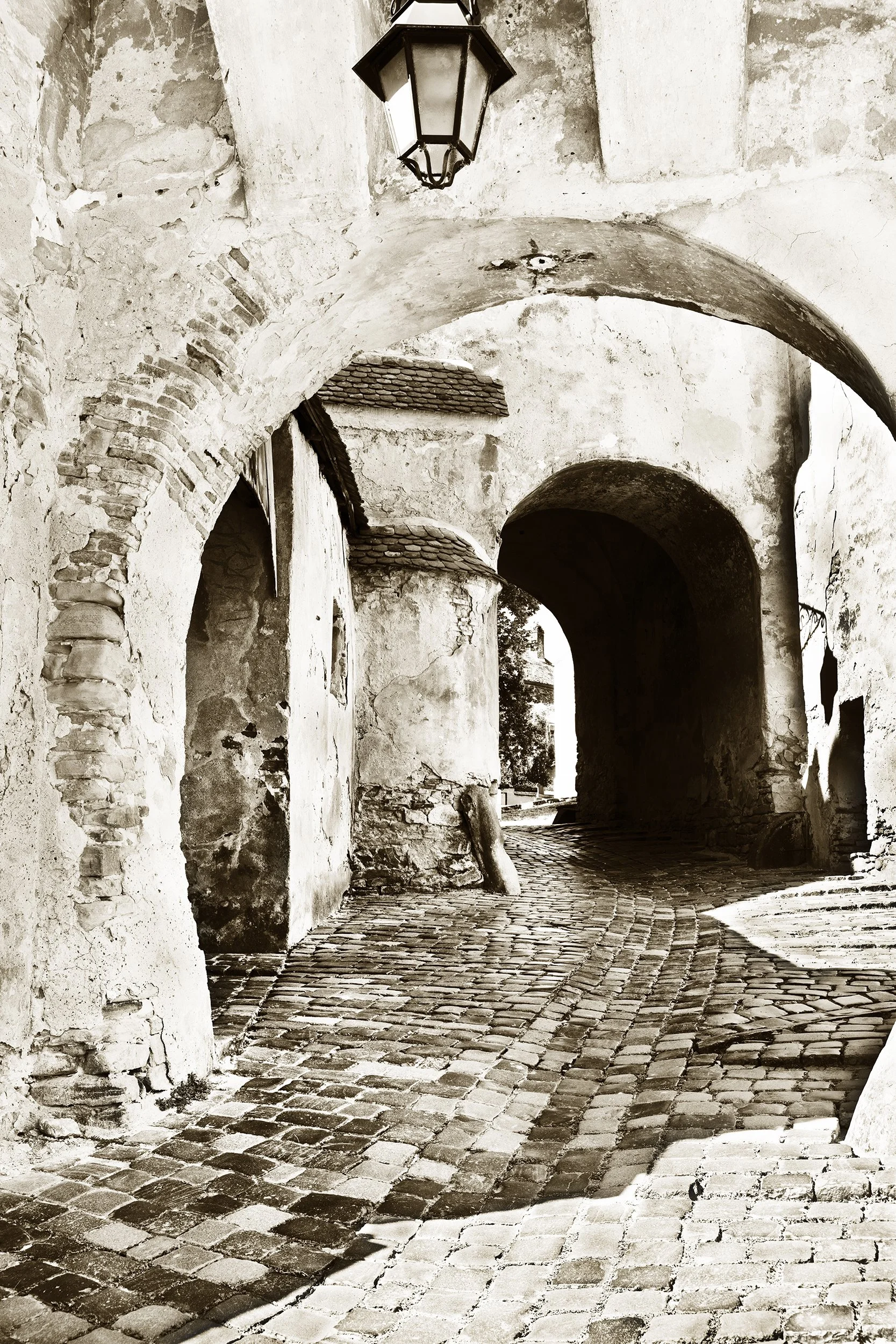 _F2A1890 8.jpg