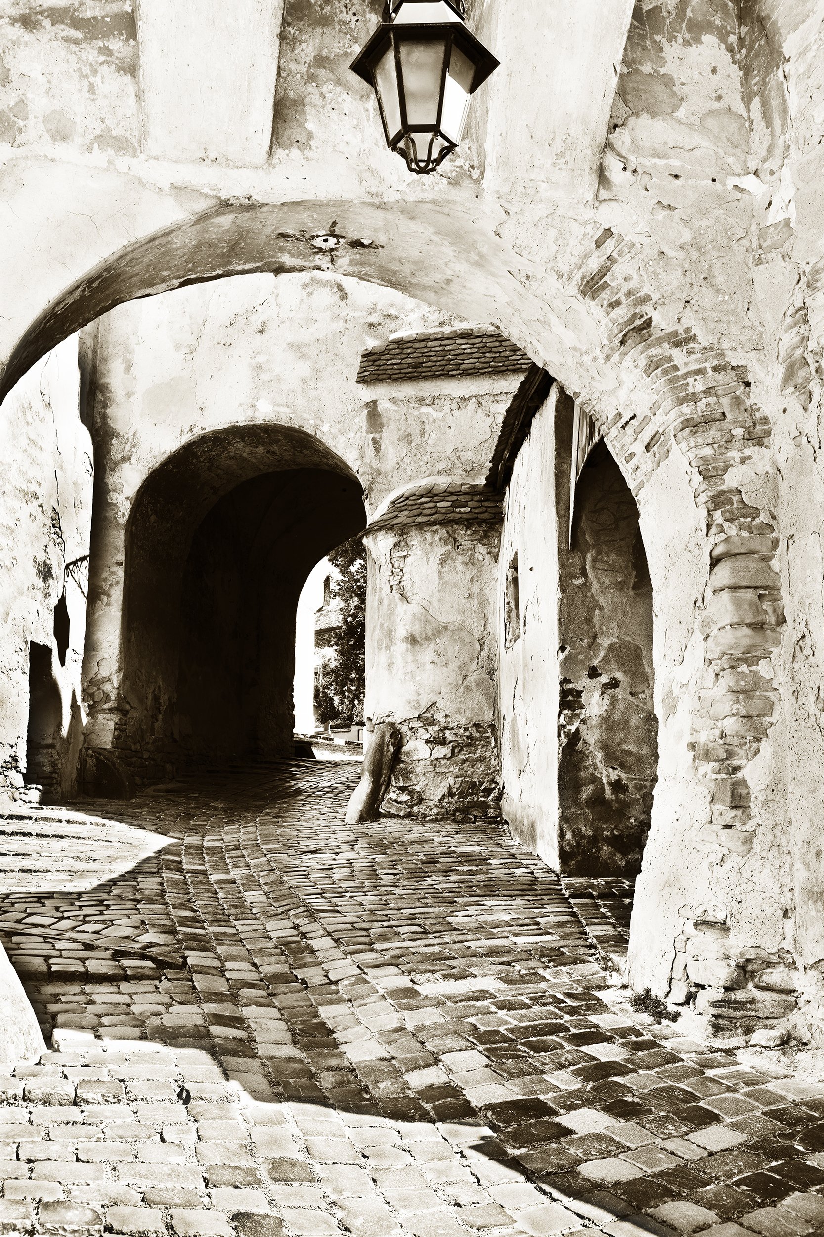 _F2A1890 7.jpg