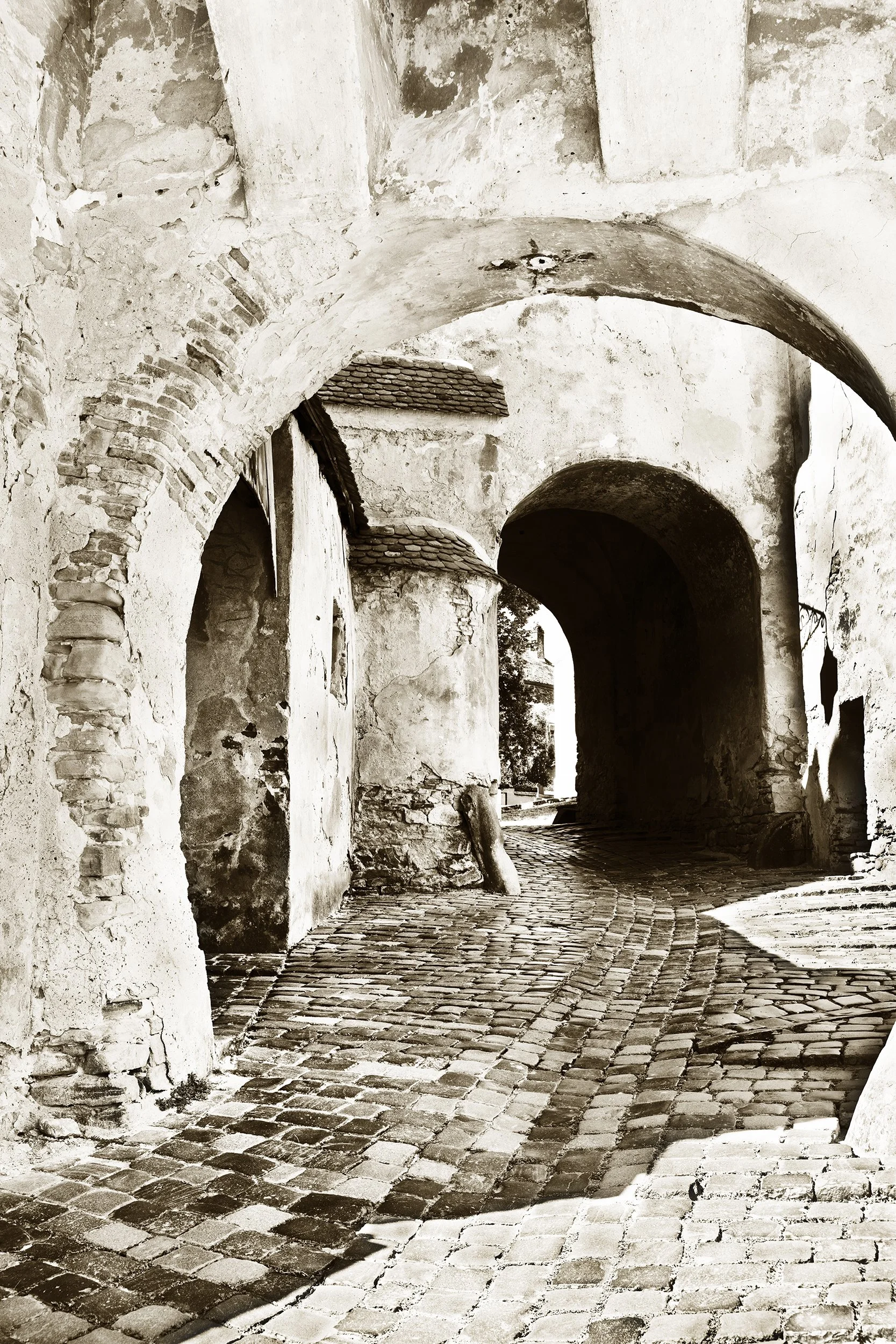_F2A1890 6.jpg